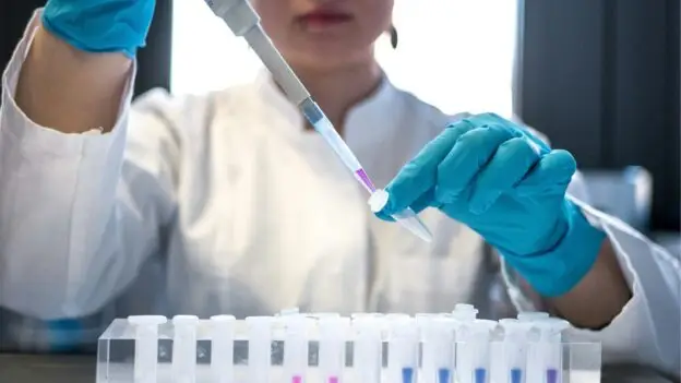 2025 BHAAAS Summer Internship for biology students in BiH!